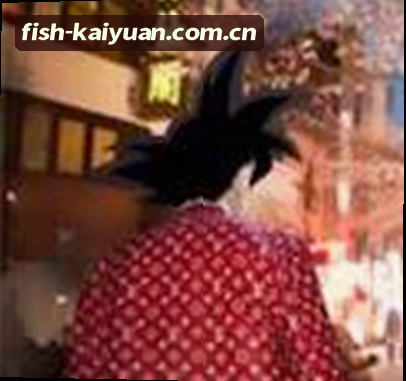 阿杰